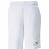 Bottoms * | Men'S Puma White Ess+ Rainbow 9 Tr Shorts S