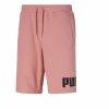 Bottoms * | Men'S Puma Rosette Big Fleece Logo 10 Shorts S