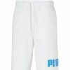 Bottoms * | Men'S Puma White/Blue/Green Big Fleece Logo 10 Shorts S