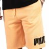 Bottoms * | Men'S Puma Peach Cobbler Big Fleece Logo Shorts S